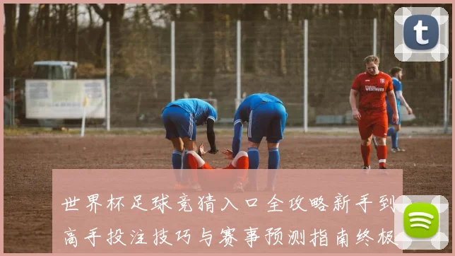 世界杯足球竞猜入口全攻略新手到高手投注技巧与赛事预测指南终极
