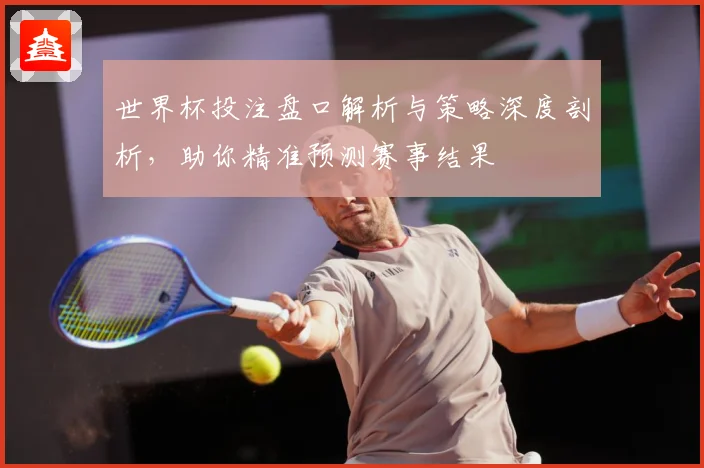 世界杯投注盘口解析与策略深度剖析，助你精准预测赛事结果