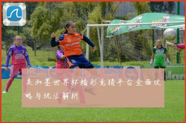 美加墨世界杯精彩竞猜平台全面攻略与玩法解析