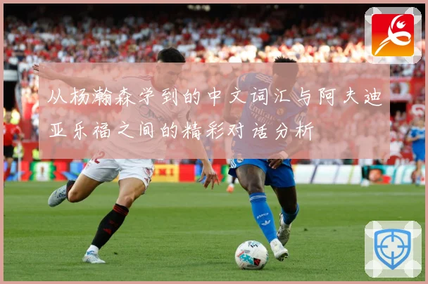 从杨瀚森学到的中文词汇与阿夫迪亚乐福之间的精彩对话分析