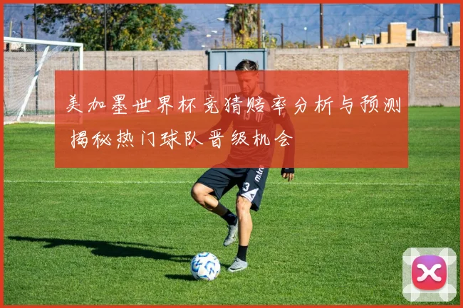 美加墨世界杯竞猜赔率分析与预测 揭秘热门球队晋级机会
