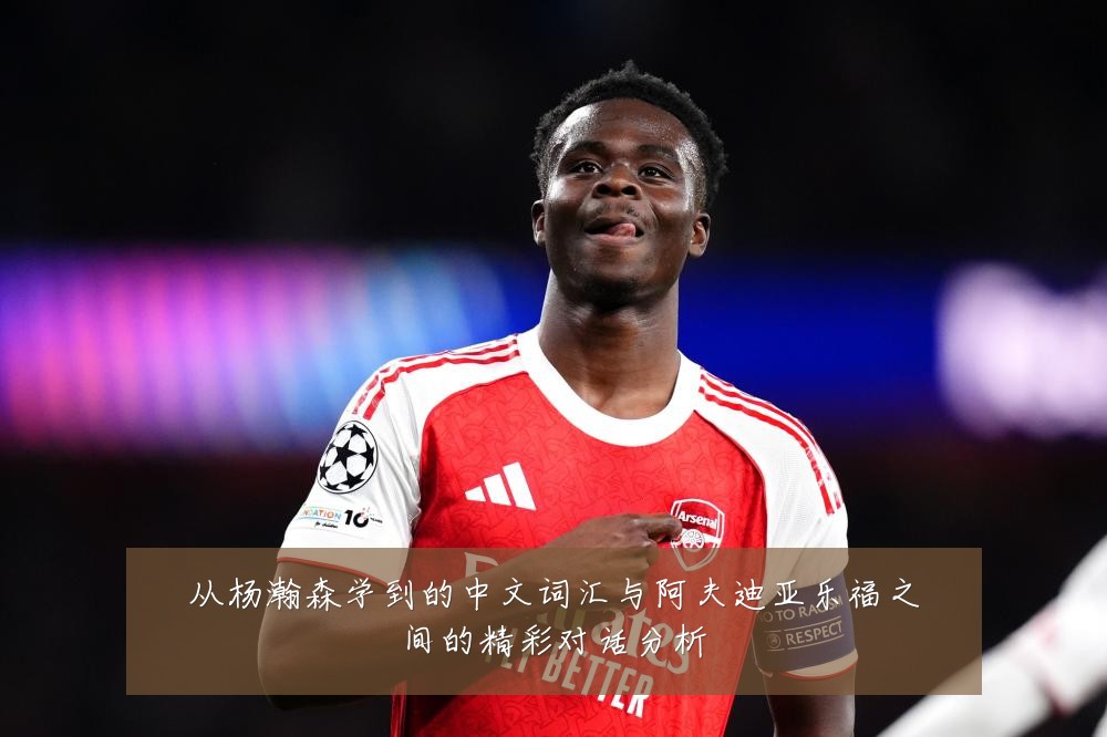 从杨瀚森学到的中文词汇与阿夫迪亚乐福之间的精彩对话分析
