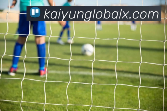 开云平台展示图